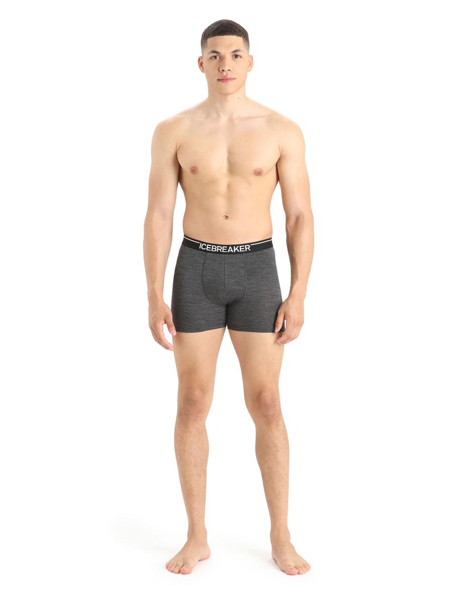 Icebreaker Merino Anatomica Boxers Férfi Fehérnemű Fekete Szürke | HU 1316MQZA